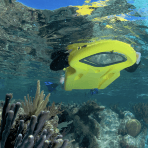 zayak sea sled
