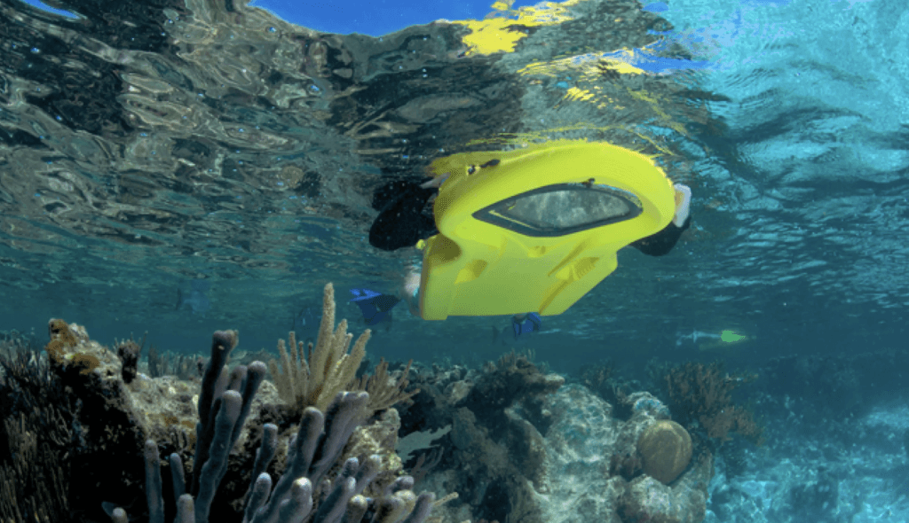 zayak sea sled